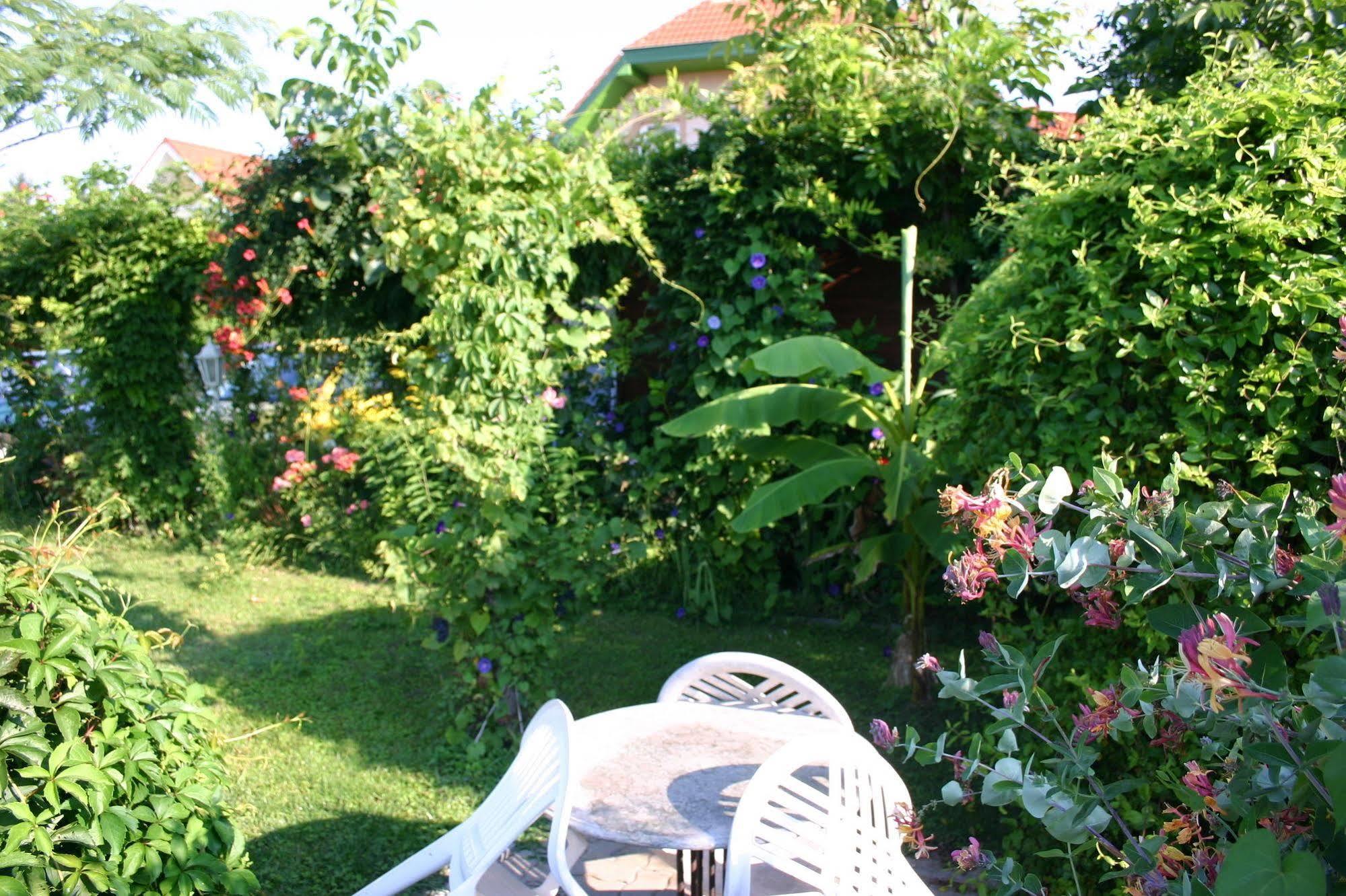 Lorelei Pension Gyenesdiás Esterno foto